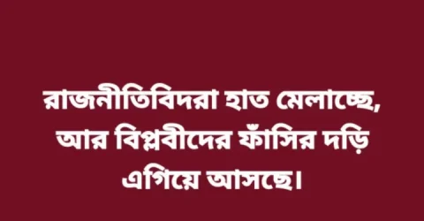 ‘রাজনীতিবিদরা হাত মেলাচ্ছে, আর বিপ্লবীদের ফাঁসির দড়ি এগিয়ে আসছে’: হাসনাত আবদুল্লাহ