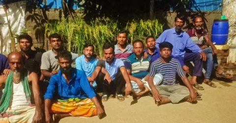 পরিবহন শ্রমিক দলের নেতা আলাউদ্দিন উদ্বেগে সড়কের পাশে ধানের শীর্ষে সৌন্দর্য বর্ধন