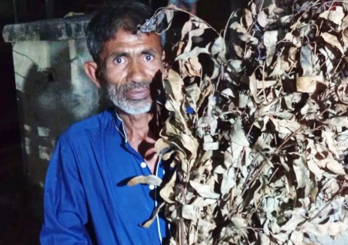 পাঁচবিবিতে শত্রুতায় বৃক্ষ নিধন