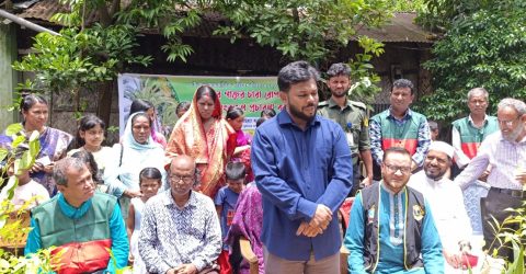 ফটিকছড়িতে মাইজভান্ডারী গাউসিয়া হক কমিটির বৃক্ষ রোপণ কর্মসূচী 
