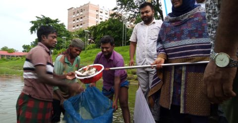 মৎস্য চাষিদের মাঝে মাছের পোনা বিতরণ করেন কুড়িগ্রামের ডিসি-নুসরাত সুলতানা