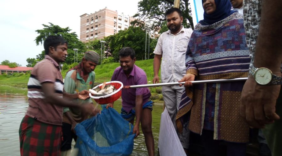 মৎস্য চাষিদের মাঝে মাছের পোনা বিতরণ করেন কুড়িগ্রামের ডিসি-নুসরাত সুলতানা