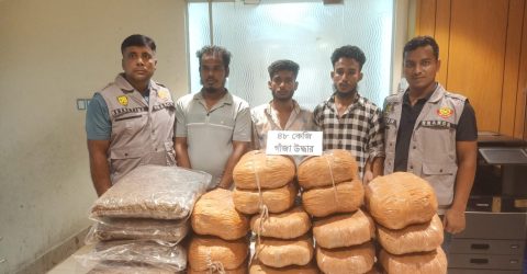 ৪৮ কেজি গাঁজা ও পিকআপসহ তিন মাদক কারবারিকে গ্রেফতার করেছে ডিবি
