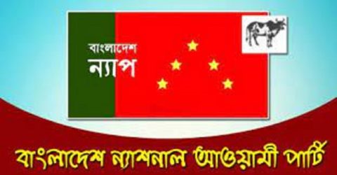 প্রশিক্ষণ বিমান বিধ্বস্তের ঘটনায় বাংলাদেশ ন্যাপ'র শোক