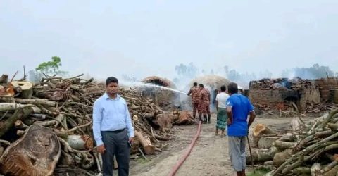 সাঘাটায় কয়লা কারখানায় ইউএনও’র অভিযান: ধ্বংস ২০টি অবৈধ চুল্লি