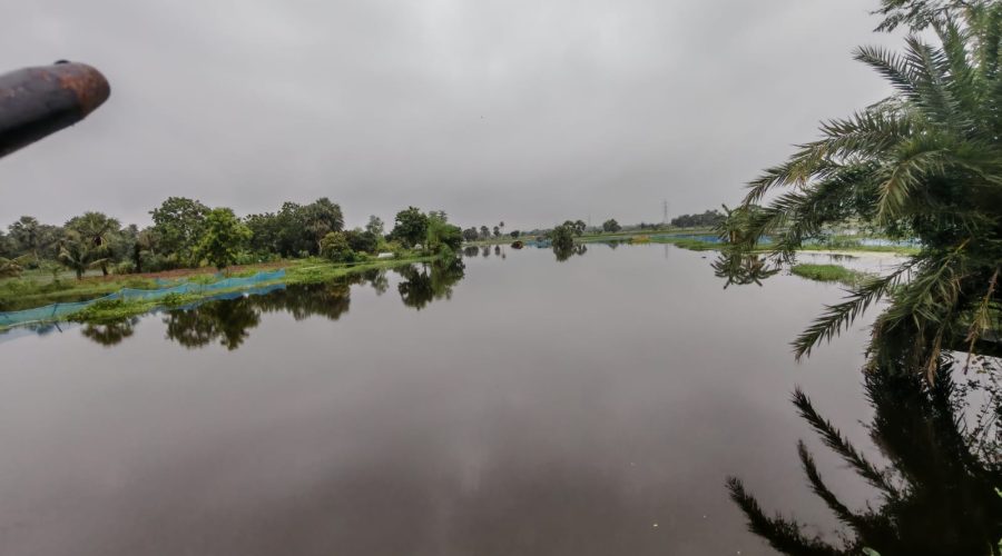 ডুমুরিয়ায় টানা বৃষ্টিতে জলাবদ্ধতা, বিপর্যস্ত জনজীবন ডুমুরিয়ায় টানা বৃষ্টিতে জলাবদ্ধতা, বিপর্যস্ত জনজীবন