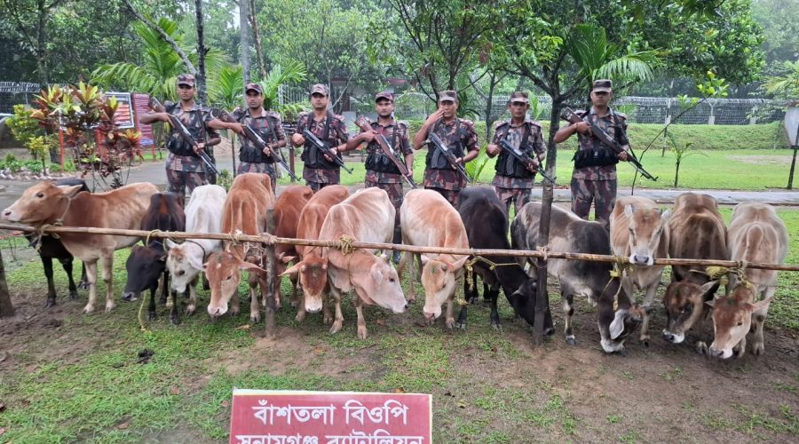 সুনামগঞ্জ সীমান্তে স্টিল বডি নৌকাসহ ৩৪টি ভারতীয় গরু আটক সুনামগঞ্জ সীমান্তে স্টিল বডি নৌকাসহ ৩৪টি ভারতীয় গরু আটক