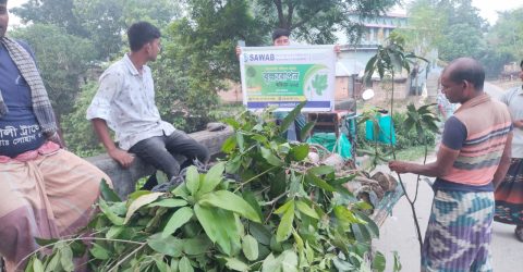 চাঁপাইনবাবগঞ্জের শিবগঞ্জে সওয়াবের উদ্যোগে ২০০ ফলের গাছ বিতরণ