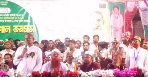 গ্রুদাসপুরে বিএনপির ৪৭তম প্রতিষ্ঠাবার্ষিকী উপলক্ষে বর্ণাঢ্য র‌্যালি ও আলোচনা সভা