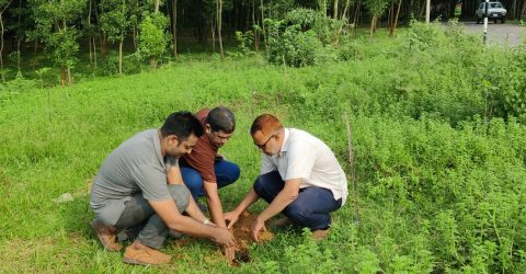 গাজীপুর তালবীজ রোপণ কর্মসূচি অনুষ্ঠিত হয়