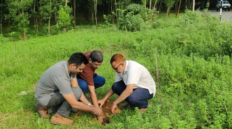 গাজীপুর তালবীজ রোপণ কর্মসূচি অনুষ্ঠিত হয়