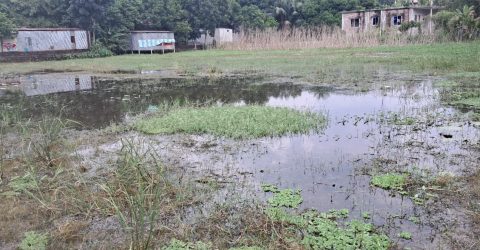 সিরাজদিখান বড়াম সরকারি প্রাথমিক বিদ্যালয়ের মাঠে জলাবদ্ধতা ! খেলাধুলা বন্ধ ছাত্রছাত্রীদের