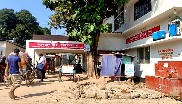 রাজবাড়ী সড়কে মোটরবাইক নিয়ন্ত্রণ হারিয়ে ডিভাইডারে ধাক্কায় কিশোর রিয়াদ নিহত