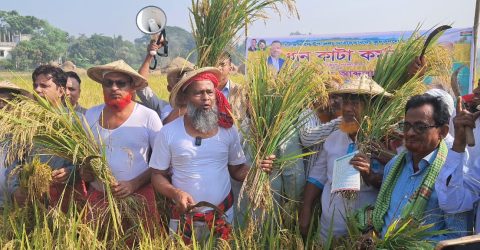 আমারা মাঠে আছি জনগণের পাশে, ইনশাআল্লাহ জনগণই বিএনপিকে বিজয়ী করবে - শেখ মোঃ আব্দুল্লাহ