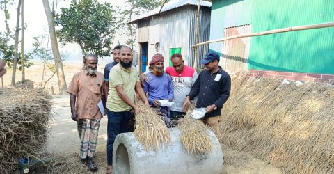 সাঘাটা ইউনিয়ন বিএনপির উদ্যোগে ধানের শীষের গণসংযোগ সাঘাটা ইউনিয়ন বিএনপির উদ্যোগে ধানের শীষের গণসংযোগ