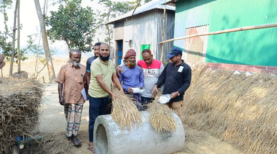 সাঘাটা ইউনিয়ন বিএনপির উদ্যোগে ধানের শীষের গণসংযোগ 