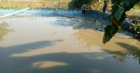 কাশিয়ানীর নিশ্চিন্তপুরে ভূমি আইন লঙ্ঘন করে অবৈধ বালু উত্তোলন, এলাকাবাসী চরম ঝুঁকিতে