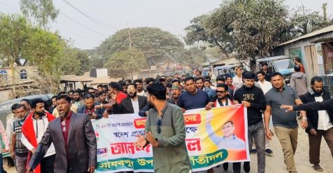 মাধবপুরে তারেক রহমানের দেশে ফেরাকে ঘিরে উপজেলা তাঁতি দলের আনন্দ মিছিল