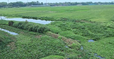 সিরাজদিখানে ইছামতি নদী শুকিয়ে খাল, দ্রুত খননের দাবি
