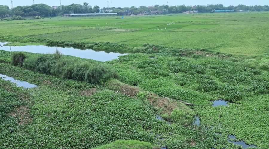 সিরাজদিখানে ইছামতি নদী শুকিয়ে খাল, দ্রুত খননের দাবি