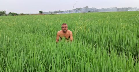 জ্বালানি তেল সংকটে সিরাজদিখানে বোরো চাষে দুশ্চিন্তা