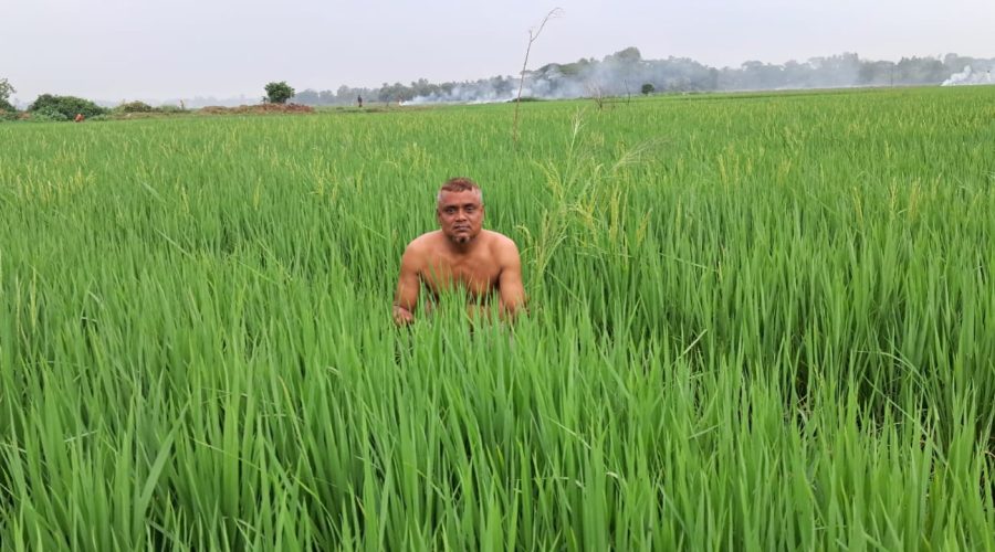 জ্বালানি তেল সংকটে সিরাজদিখানে বোরো চাষে দুশ্চিন্তা