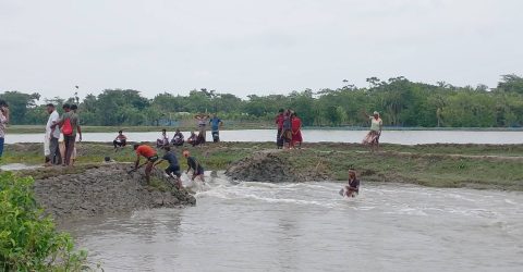 চামারখালী খাল দখলমুক্ত