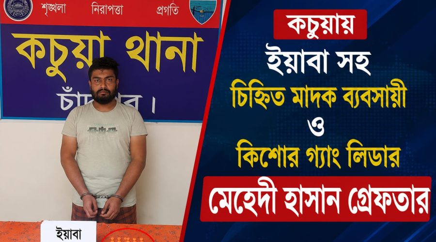 ব্যবসায়ী ও কিশোর গ্যাং লিডার মেহেদী হাসান
