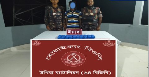 কক্সবাজারের উখিয়ায় বিজিবির অভিযানে ৪০ হাজার পিস ইয়াবাসহ আটক ১