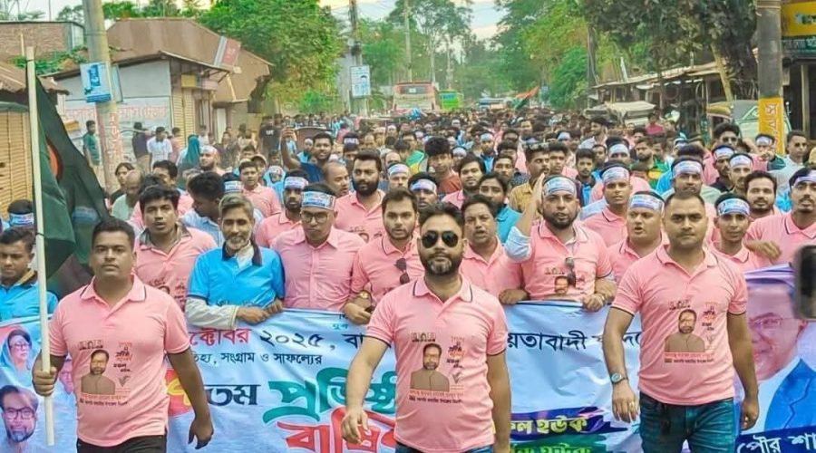 ভাণ্ডারিয়া যুবদলের সদস্য সচিব সামিম হাওলাদারের বিরুদ্ধে অপপ্রচারের প্রতিবাদে ফুঁসে উঠেছে ছাত্র-জনতা