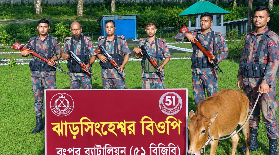 সীমান্তে বিজিবির অভিযানে ভারতীয় গরু জব্দ