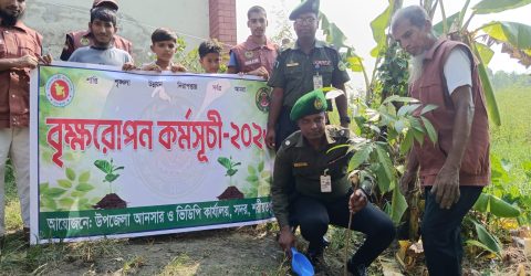 সবুজ বাংলাদেশ গড়তে শরীয়তপুরে আনসার বাহিনীর বৃক্ষরোপণ
