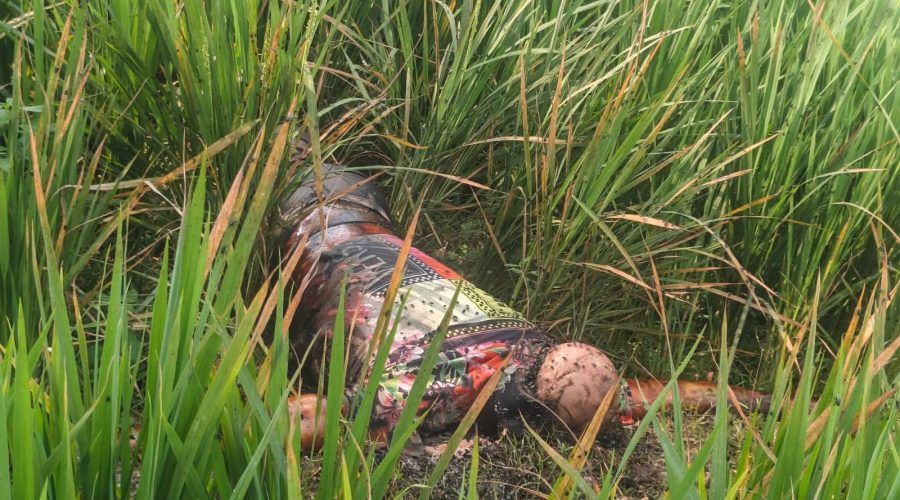 দিনাজপুরে ধানক্ষেত থেকে কিশোরের অর্ধগলিত মরদেহ উদ্ধার