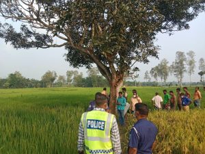 দিনাজপুরে ধানক্ষেত থেকে কিশোরের অর্ধগলিত মরদেহ উদ্ধার