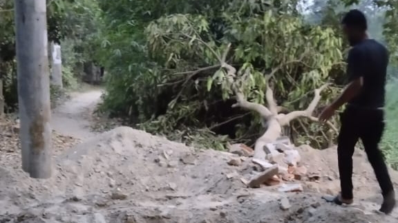 সিরাজদিখানে সরকারি জায়গা দখল করে শশ্মনের রাস্তা নির্মাণের অভিযোগ