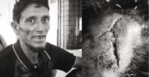 জমা জমি নিয়ে বিরুদের জেরে চাচার মাথা কুপিয়ে জখম করল ভাতিজি