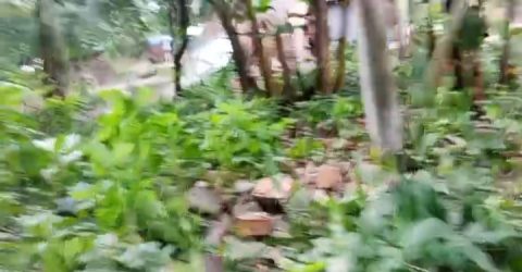 বীরগঞ্জে প্রকাশ্য দিবালোকে দোকানঘর ভাঙচুর ও জমি দখলের অভিযোগ, থানায় অভিযোগ দায়ের