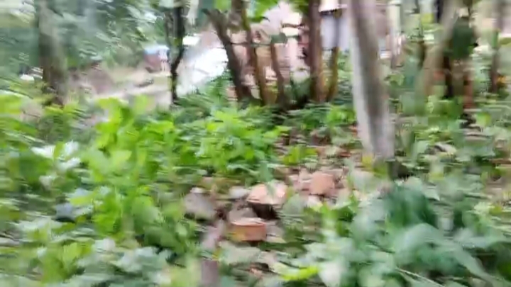বীরগঞ্জে প্রকাশ্য দিবালোকে দোকানঘর ভাঙচুর ও জমি দখলের অভিযোগ, থানায় অভিযোগ দায়ের বীরগঞ্জে প্রকাশ্য দিবালোকে দোকানঘর ভাঙচুর ও জমি দখলের অভিযোগ, থানায় অভিযোগ দায়ের