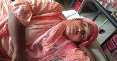 গলাচিপায় জমি নিয়ে বিরোধে হামলা: নারীসহ ৩ জন আহত, দুই শতাধিক ফলজ গাছ কেটে বিনষ্ট