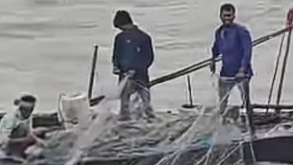 নিষেধাজ্ঞা অমান্য করে মেঘনা, পটুয়াখালী ও ধুমকির নদীতে চলছে ইলিশ ধরার মহোৎসব