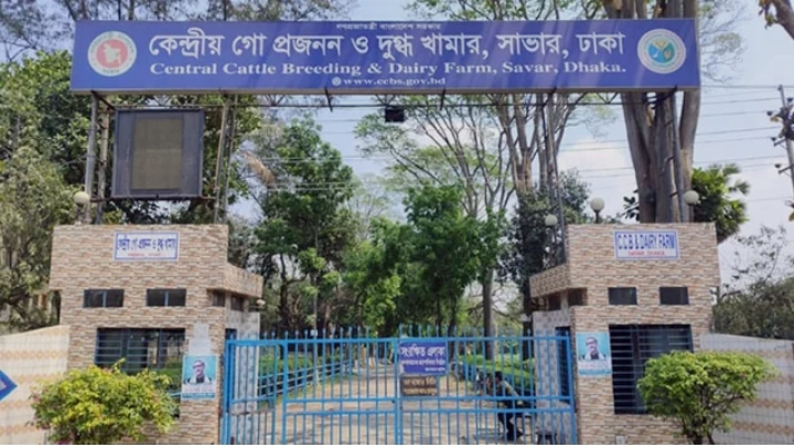 নির্দিষ্ট কোম্পানির সিন্ডিকেটের কবলে পশুখাদ্যের টেন্ডার